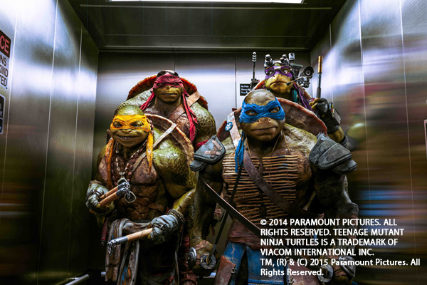 turtles